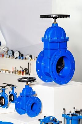 Y type Structure ANSI/API/ASTM/ASME/WCB Flange Ball Globe Check Butterfly Gate Valve