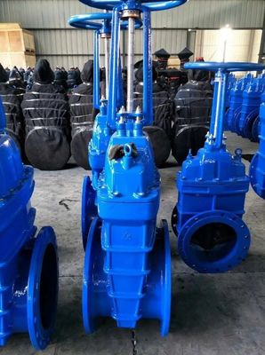 Software Reengineering Non-Rising Ductile Iron Wedge Gate Valve with Rubber Seal Disc
