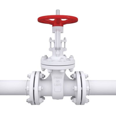 Customized Service Flanged Cast Iron Gate Valve with Metal Drain and Stop Structure