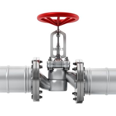 Complete Certificate 4 inch DN100 Ductile Iron Y Strainer Drain Valve for Smooth Flow