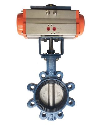 ODM Supported Lug Type Butterfly Valve with Customized Port Size and Safety Features