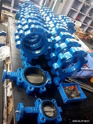 ODM Supported Lug Type Butterfly Valve with Customized Port Size and Safety Features