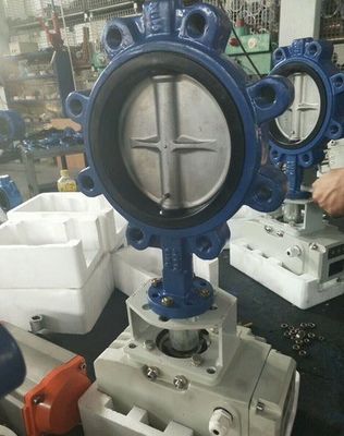 Customized Support ODM Manual Stainless Steel Worm Gear Lug Butterfly Sanitary Valve