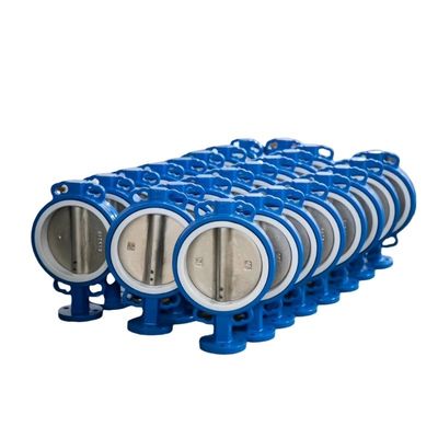 Depends on Specifications Double Flanged Lug Type Butterfly Valves and Fitting
