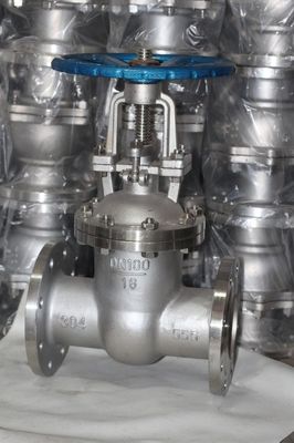 Sales Y Type Stainless Steel Gate Valve with Manual Operation and Metal or Rubber Seal