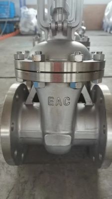 Sales Y Type Stainless Steel Gate Valve with Manual Operation and Metal or Rubber Seal