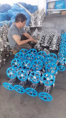 Long Manual Gate Valves Ss Body and Disc for Flanged/Welded Full Bore Applications