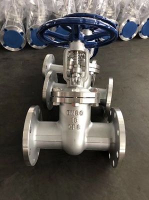 WCB DN500 PN25 Gate Valve Avaiable for OEM in Carbon Steel/Cast Iron/Stainless Steel