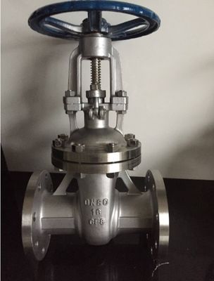 CF8 Stainless Steel Flanged End Gate Valve for Industrial Y Type Strainer Filtration