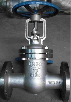 CF8 Stainless Steel Flanged End Gate Valve for Industrial Y Type Strainer Filtration
