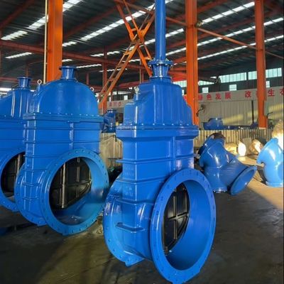 Cast Iron GGG50 Non Rising Stem Resilient Seated Gate Valve for Customized Port Size