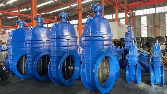 Depends on Specifications CI DI Ruber Seal Gate Valve with Best Prices
