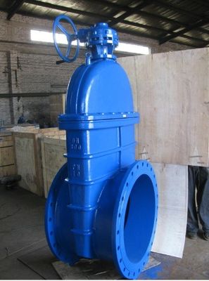 Depends on Specifications CI DI Ruber Seal Gate Valve with Best Prices