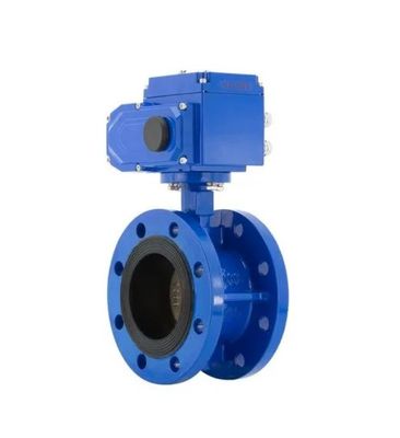 ANSI DIN BS Standard Double Flange Butterfly Valve for Customized Applications