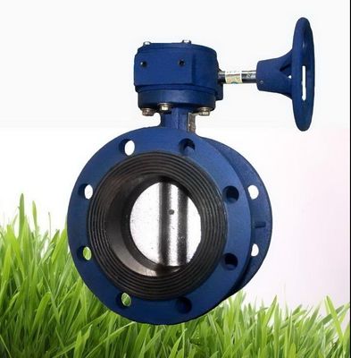 Customized Cast Iron Swing Check Valve/Air Valve/Double Eccentric Manual Industry Flanged Butterfly Valve
