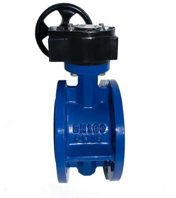 Customized Cast Iron Swing Check Valve/Air Valve/Double Eccentric Manual Industry Flanged Butterfly Valve