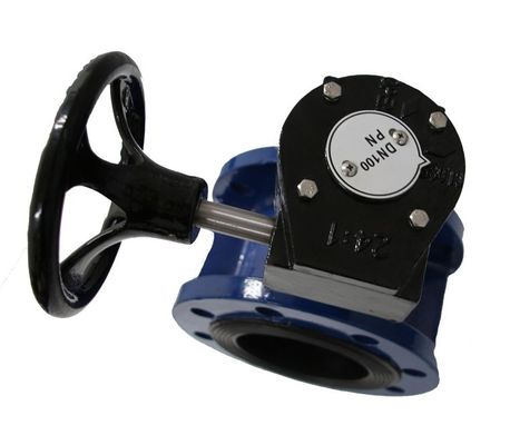 Customized Cast Iron Swing Check Valve/Air Valve/Double Eccentric Manual Industry Flanged Butterfly Valve