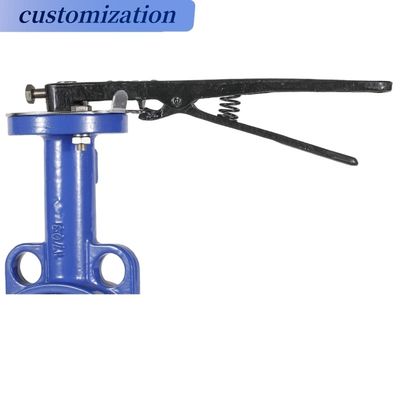OEM Port Size Lever Operated Full PTFE Lined Concentric DIN BS Control Butterfly Valve