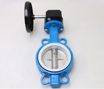 DI/SS/WCB Soft Seated Concentric Wafer Type Butterfly Valve with Customizable Options