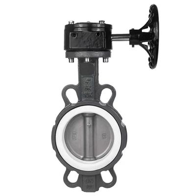Customized Ductile Iron Resilient Seated Wafer/Lug Type Butterfly Valve OEM Port Size