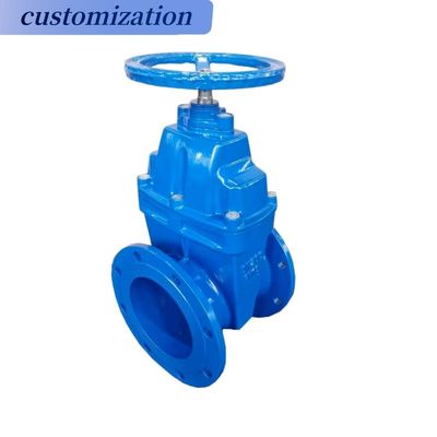 Customized Handlewheel Operation Flanged Casr Iron Wedge Disc Gate Valve with Resilient EPDM Rubber Seat