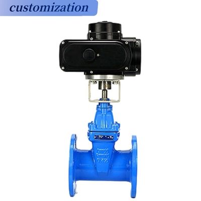 Customized Handlewheel Operation Flanged Casr Iron Wedge Disc Gate Valve with Resilient EPDM Rubber Seat