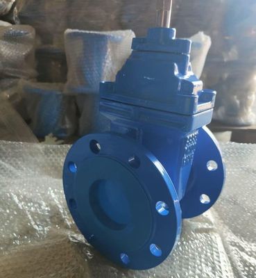 Customized Ductile Cast Iron Gate Valve With Rubber Seat Parallel Slide for Water Media