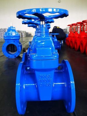 Customized Ductile Cast Iron Gate Valve With Rubber Seat Parallel Slide for Water Media