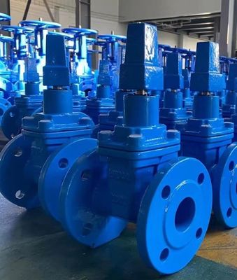 Customized Ductile Cast Iron Gate Valve With Rubber Seat Parallel Slide for Water Media