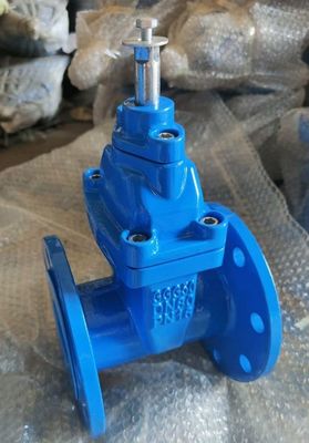 Customized Ductile Cast Iron Gate Valve With Rubber Seat Parallel Slide for Water Media