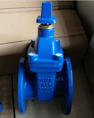 Customized Ductile Cast Iron Gate Valve With Rubber Seat Parallel Slide for Water Media
