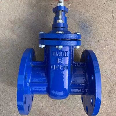 Durable Medium Temperature Y Type Strainer Cast Iron Brass Seal Metal Seat Gate Valve