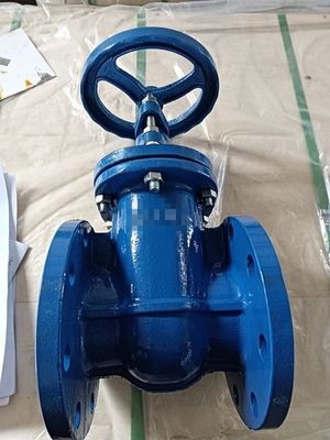 Durable Medium Temperature Y Type Strainer Cast Iron Brass Seal Metal Seat Gate Valve