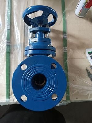 Durable Medium Temperature Y Type Strainer Cast Iron Brass Seal Metal Seat Gate Valve