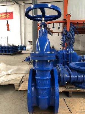 Durable Medium Temperature Y Type Strainer Cast Iron Brass Seal Metal Seat Gate Valve