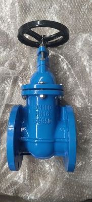 Durable Medium Temperature Y Type Strainer Cast Iron Brass Seal Metal Seat Gate Valve