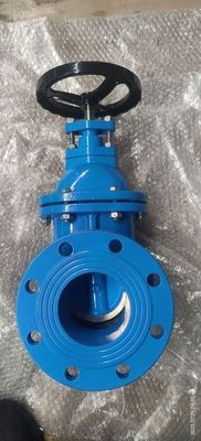 Durable Medium Temperature Y Type Strainer Cast Iron Brass Seal Metal Seat Gate Valve