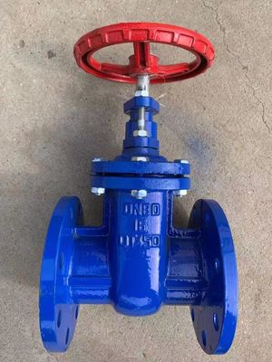 DN32 CI Metal Seat Flange Cast Iron Soft Seal Rising Stem Stainless Steel Wcb Gate Valve