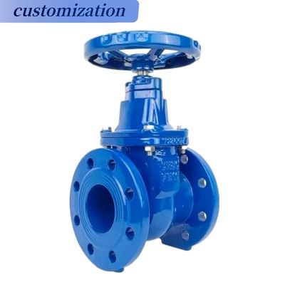 DN32 CI Metal Seat Flange Cast Iron Soft Seal Rising Stem Stainless Steel Wcb Gate Valve