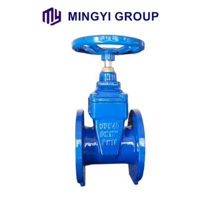 Low Temperature Media Supported DIN 3352 F4 Resilient Seated Gate Valve with Support