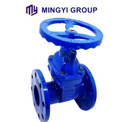 Customized Dutile Iron Flanged Soft Seal Py16 Gate Valve with Manual Operated Function