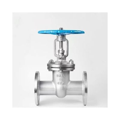 Customized Standard Resilient Seat Gate Valve for Knife Gate A216 Wcb Valve