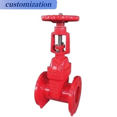 Stop Structure Flange Gate Valve Indoor Fire Hydrant Fire Fighting Equipment Customized