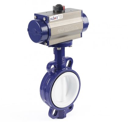 Customized Ductile Iron Stainless Steel Body Wafer Lug Butterfly Valve for Industrial