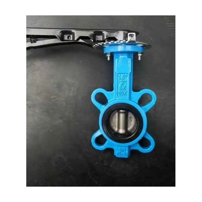 Replaceable Rubber Liner Double Shaft Wafer Type Butterfly Valve for Water Media