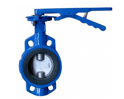 Replaceable Rubber Liner Double Shaft Wafer Type Butterfly Valve for Water Media