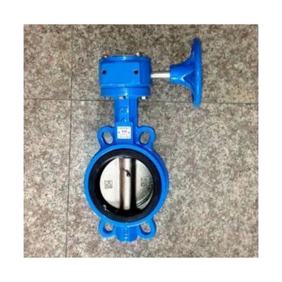 OEM Cast Iron Wormgear Operator Double Flange EPDM/NBR Seat Stainless Steel Disc Lug Wafer Butterfly Valve