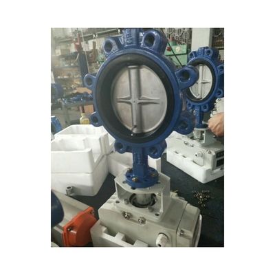 Diaphragm Structure Awwa C504 Cast Iron Lug Type Butterfly Valve for OBM Customization