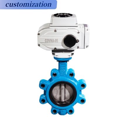 Diaphragm Structure Awwa C504 Cast Iron Lug Type Butterfly Valve for OBM Customization