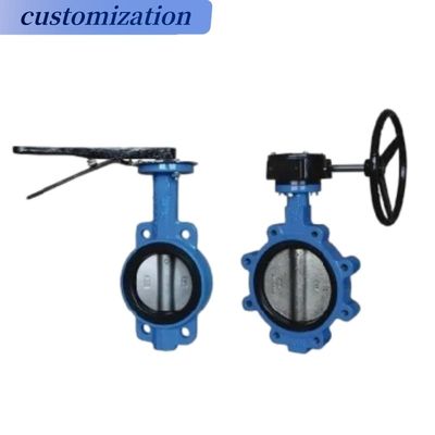 Diaphragm Structure Awwa C504 Cast Iron Lug Type Butterfly Valve for OBM Customization